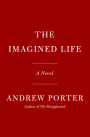 The Imagined Life: A novel