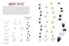 Alternative view 4 of Everyday Wild: An Illustrated Guide for Mindfulness in Nature