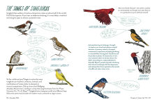 Alternative view 5 of Everyday Wild: An Illustrated Guide for Mindfulness in Nature