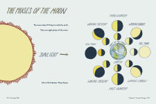 Alternative view 6 of Everyday Wild: An Illustrated Guide for Mindfulness in Nature