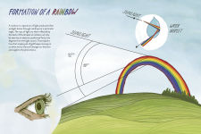 Alternative view 7 of Everyday Wild: An Illustrated Guide for Mindfulness in Nature