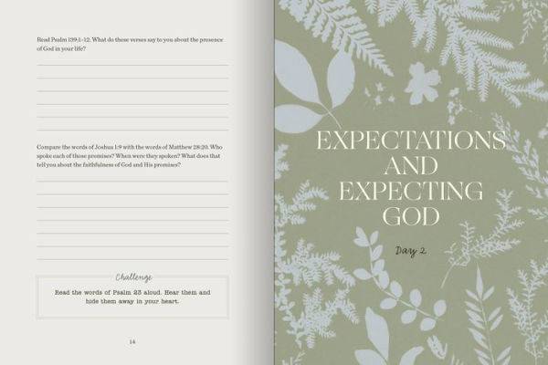 Everyday Joys Devotional: 40 Days of Reflecting on the Intersection of Ordinary and Divine