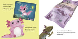 Alternative view 5 of Hello, I'm an Axolotl (Meet the Wild Things, Book 4)