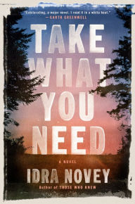 Title: Take What You Need: A Novel, Author: Idra Novey