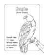 Alternative view 2 of Bird Book for Kids: Coloring Fun and Awesome Facts