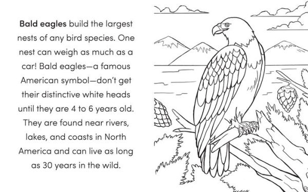 Bird Book for Kids: Coloring Fun and Awesome Facts