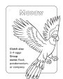 Alternative view 4 of Bird Book for Kids: Coloring Fun and Awesome Facts
