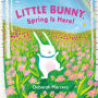 Little Bunny, Spring Is Here!