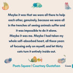 Alternative view 5 of Poets Square: A Memoir in Thirty Cats