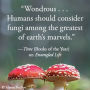 Alternative view 17 of Entangled Life: The Illustrated Edition: How Fungi Make Our Worlds