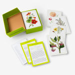 Alternative view 5 of New York Botanical Garden Herb Identification Flashcards: 100 Common Herbs of North America