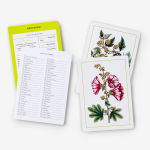 Alternative view 6 of New York Botanical Garden Herb Identification Flashcards: 100 Common Herbs of North America