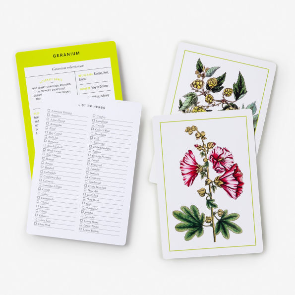 New York Botanical Garden Herb Identification Flashcards: 100 Common Herbs of North America