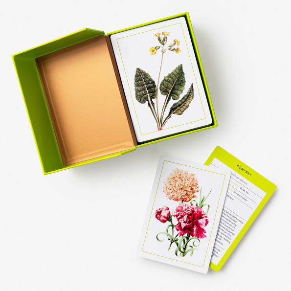 New York Botanical Garden Herb Identification Flashcards: 100 Common Herbs of North America