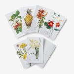 Alternative view 3 of New York Botanical Garden: In Full Bloom Postcards: 100 Postcards from the Archives of the New York Botanical Garden