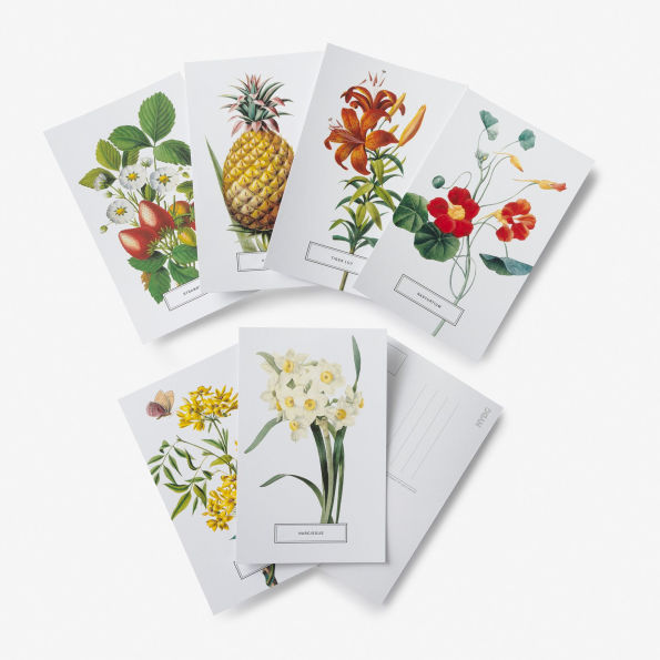 New York Botanical Garden: In Full Bloom Postcards: 100 Postcards from the Archives of the New York Botanical Garden