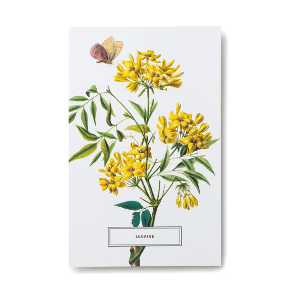 New York Botanical Garden: In Full Bloom Postcards: 100 Postcards from the Archives of the New York Botanical Garden