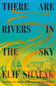 Title: There Are Rivers in the Sky: A novel, Author: Elif Shafak