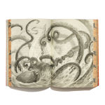 Alternative view 11 of Impossible Creatures