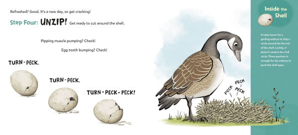 How to Hatch: A Gosling's Guide to Breaking Free