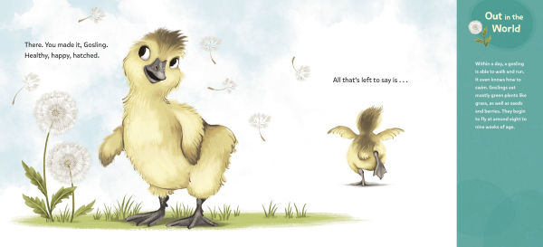 How to Hatch: A Gosling's Guide to Breaking Free