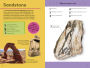 Alternative view 3 of Quiz Yourself Clever! Rocks and Minerals