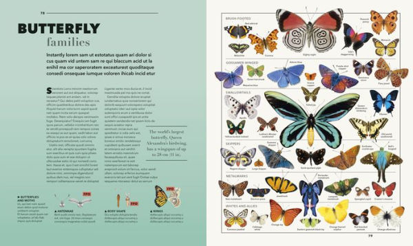 Knowledge A Visual Compendium: Making Sense of our World