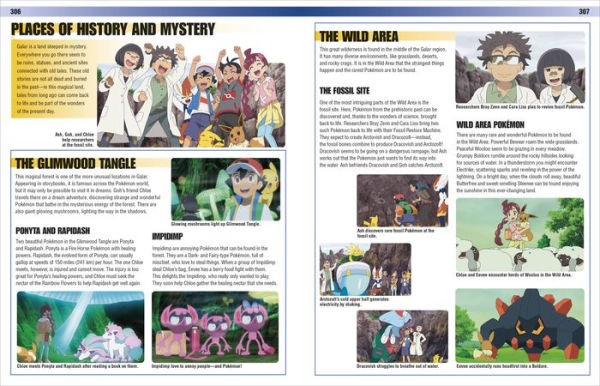 Pokémon Visual Companion Fifth Edition