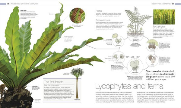 Plants and Fungi: The Definitive Visual Encyclopedia