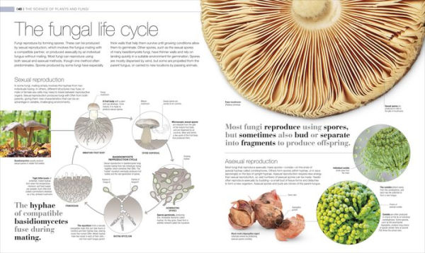 Plants and Fungi: The Definitive Visual Encyclopedia