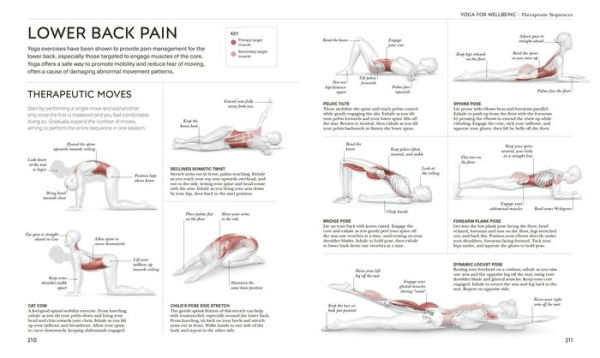 Science of Yoga: Understand the Anatomy and Physiology to Perfect Your Practice