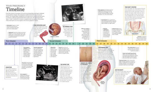 The Pregnancy Encyclopedia: All Your Questions Answered