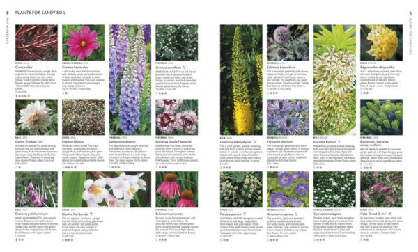 Encyclopedia of Garden Plants for Every Location: An Expert Guide to More Than 3,000 Plants