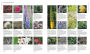 Alternative view 7 of Encyclopedia of Garden Plants for Every Location: An Expert Guide to More Than 3,000 Plants