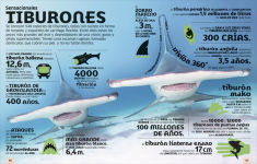 Alternative view 4 of El mundo en nÃºmeros: Animales (Our World in Numbers Animals)