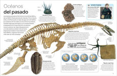 Alternative view 2 of Eyewitness: El ocÃ©ano (Ocean)