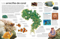 Alternative view 3 of Eyewitness: El ocÃ©ano (Ocean)