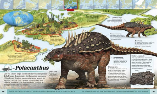 Atlas de dinosaurios (Where on Earth? Dinosaurs and Other Prehistoric Life)