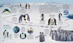 Alternative view 3 of Los ciclos de la naturaleza (Timelines of Nature)