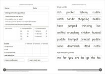 Alternative view 4 of Phonic Books Dandelion Instructional Manual Grade 1: The foundations of phonics, engaging activity ideas, lesson plans, progress tracking and assessment