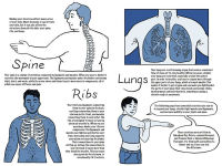 Alternative view 4 of Breathe: Journeys to Healthy Binding