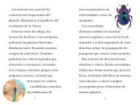 Alternative view 2 of TIME for Kids: Insectos (TIME for Kids: Insects Spanish Edition)