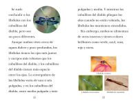 Alternative view 3 of TIME for Kids: Insectos (TIME for Kids: Insects Spanish Edition)