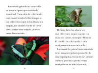 Alternative view 4 of TIME for Kids: Insectos (TIME for Kids: Insects Spanish Edition)