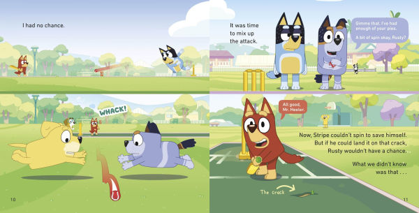 Bluey: Cricket