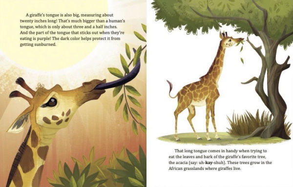 My Little Golden Book About Giraffes