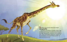 Alternative view 4 of My Little Golden Book About Giraffes