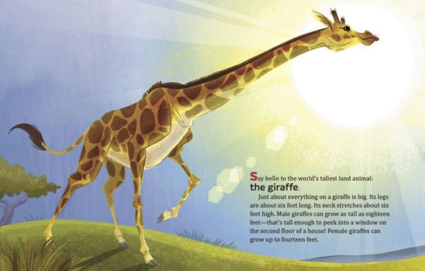 My Little Golden Book About Giraffes