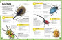 Alternative view 2 of My Book of Bugs: A Fact-Filled Guide to the Insect World