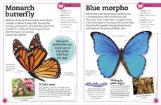 Alternative view 5 of My Book of Bugs: A Fact-Filled Guide to the Insect World